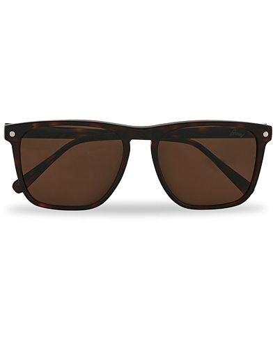 Miehet | D-malliset aurinkolasit | Brioni | BR0086S Sunglasses Havana/Brown