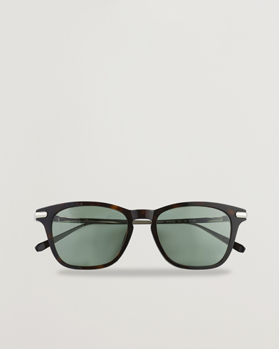 Miehet | D-malliset aurinkolasit | Brioni | BR0092S Titanium Sunglasses Havana Green