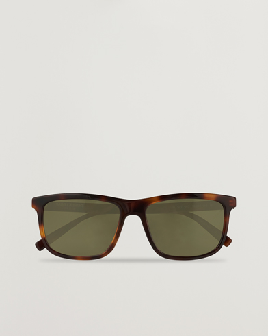 Mies | Saint Laurent | Saint Laurent | SL 501 Sunglasses Havana/Green