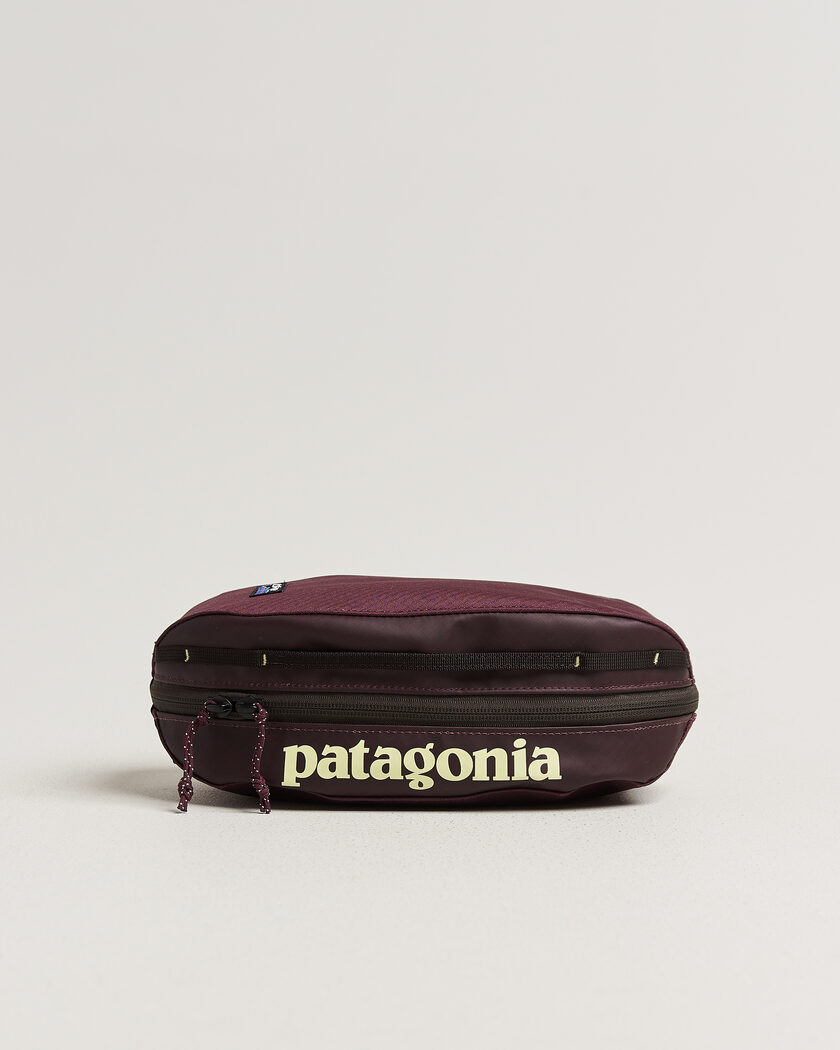 Patagonia Black Hole Cube 3L Berry Fig – Liila
