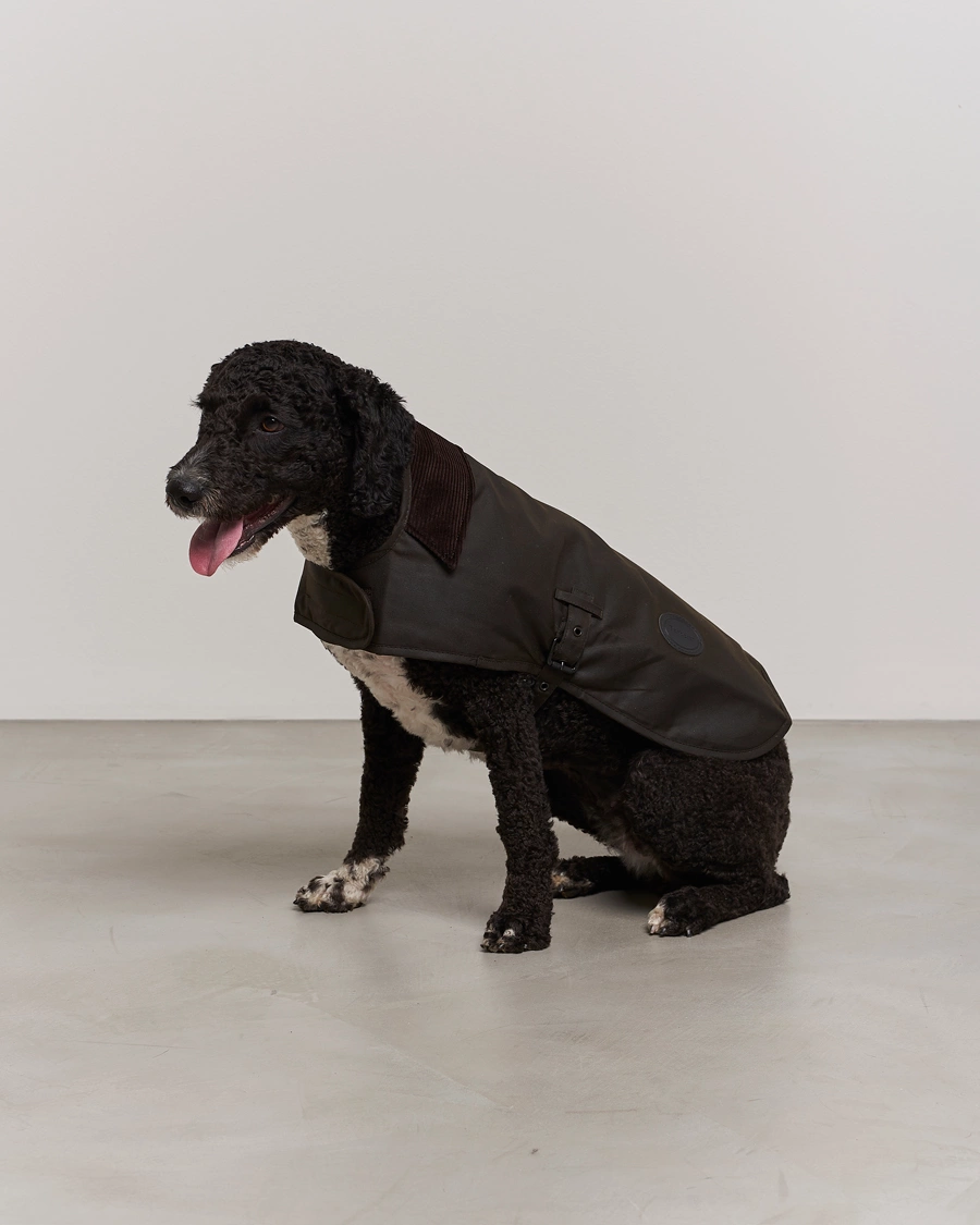 Mies | Koirille | Barbour Lifestyle | Classic Wax Dog Coat Olive