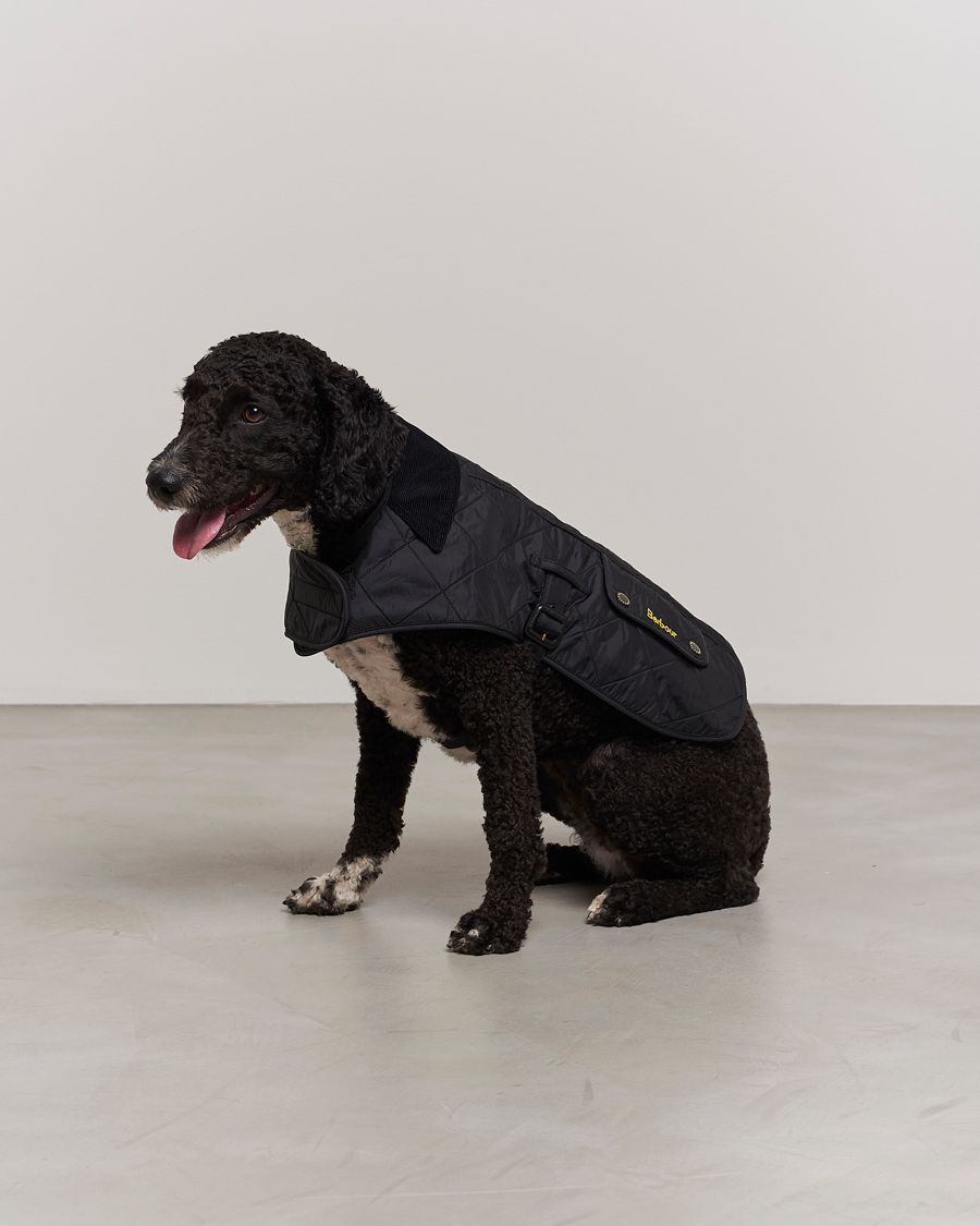 Mies | Barbour International Polar Dog Coat Black | Barbour International | Polar Dog Coat Black