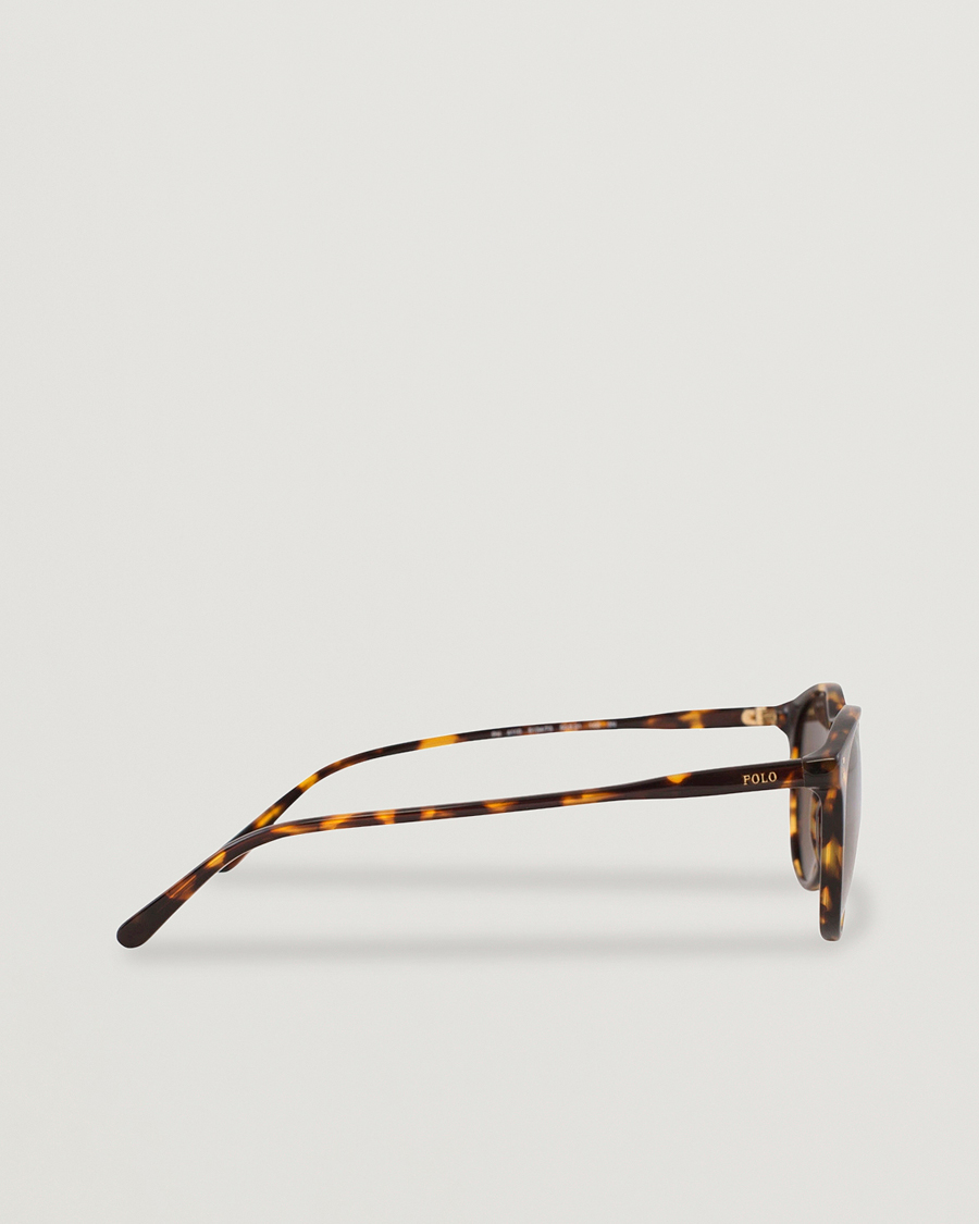 Mies | Aurinkolasit | Polo Ralph Lauren | 0PH4110 Round Sunglasses Havana