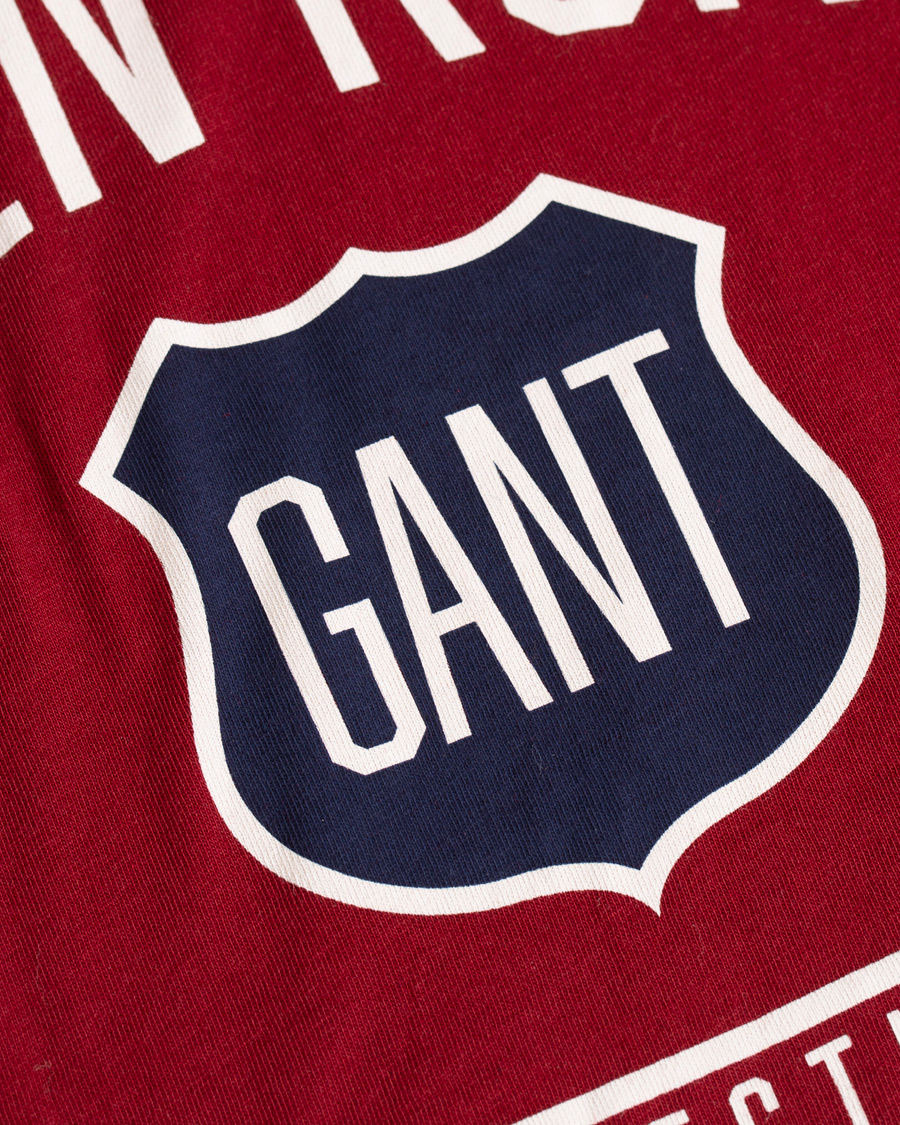 Mies | T-paidat | GANT | Graphic Tee Mahogany Red