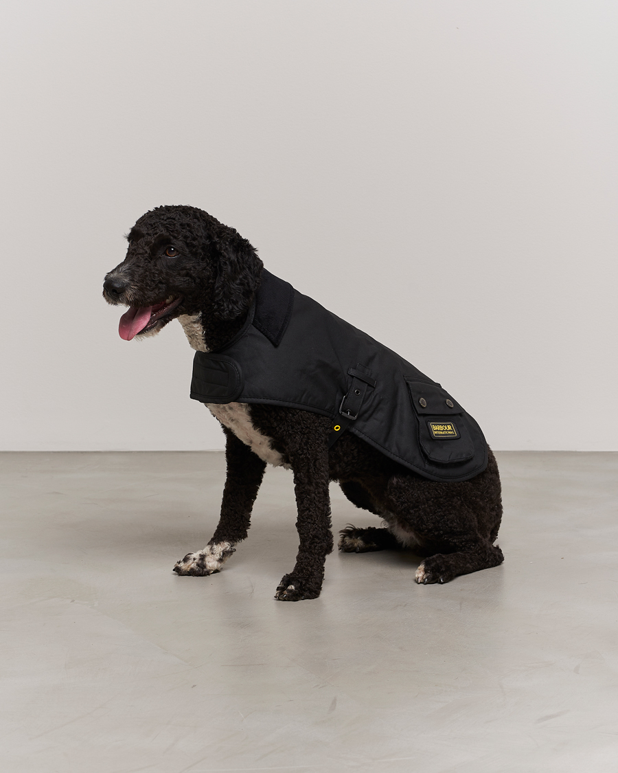 Mies | Barbour International | Barbour International | Dog Coat Black