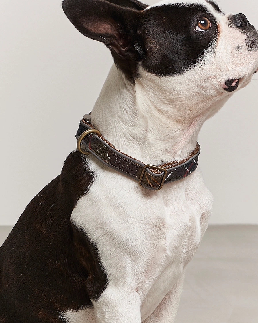 Mies |  | Barbour International | Reflective Tartan Dog Collar Classic