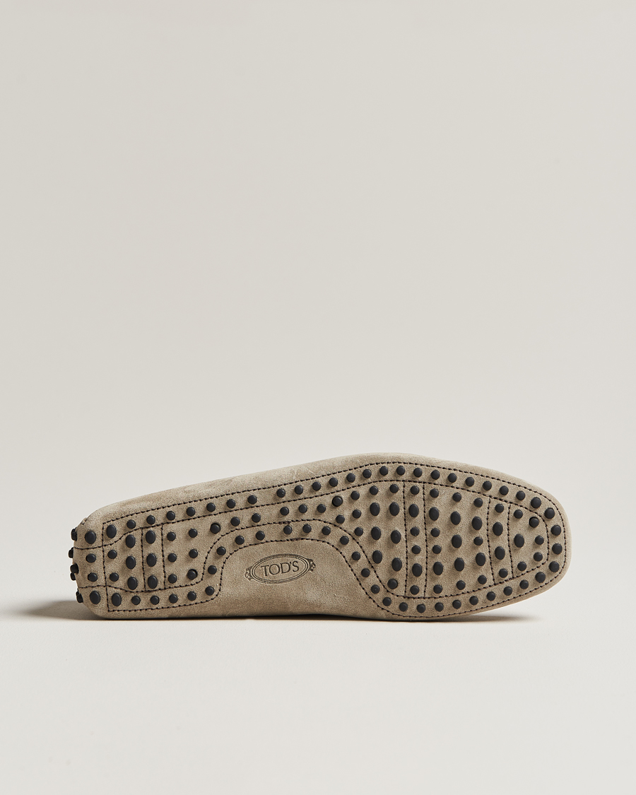 Mies | Tod's Lacetto Gommino Carshoe Taupe Suede | Tod's | Lacetto Gommino Carshoe Taupe Suede