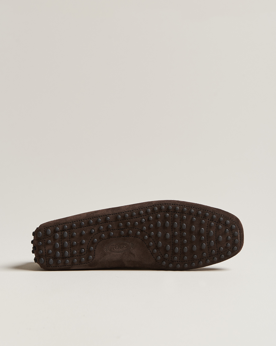 Mies | Tod's Lacetto Gommino Carshoe Dark Brown Suede | Tod's | Lacetto Gommino Carshoe Dark Brown Suede