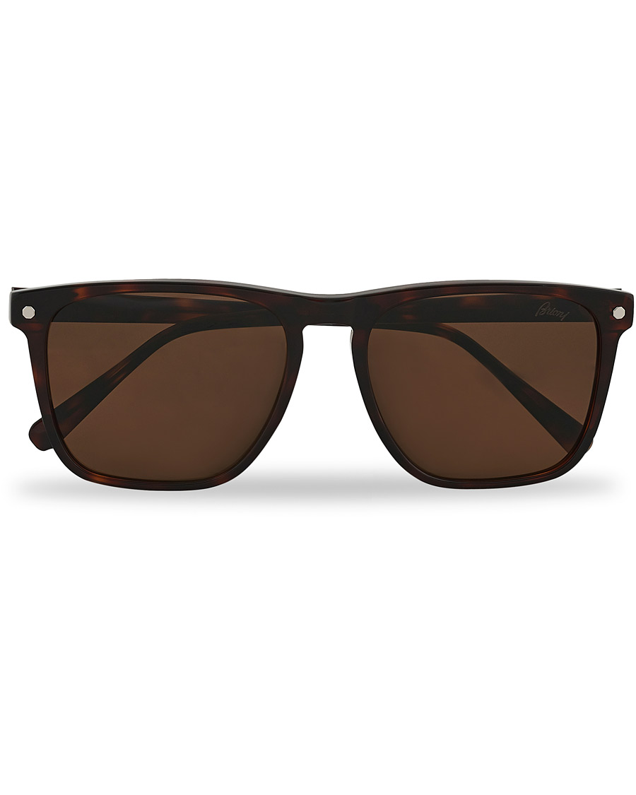 Miehet |  | Brioni | BR0086S Sunglasses Havana/Brown