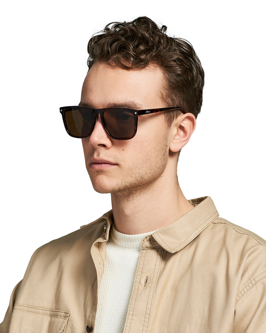 Mies | D-malliset aurinkolasit | Brioni | BR0086S Sunglasses Havana/Brown