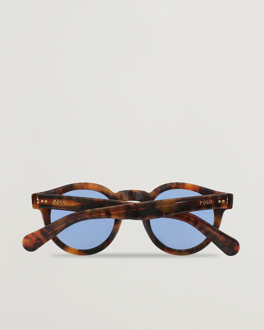 Mies | Polo Ralph Lauren PH4165 Sunglasses Havana/Blue | Polo Ralph Lauren | PH4165 Sunglasses Havana/Blue