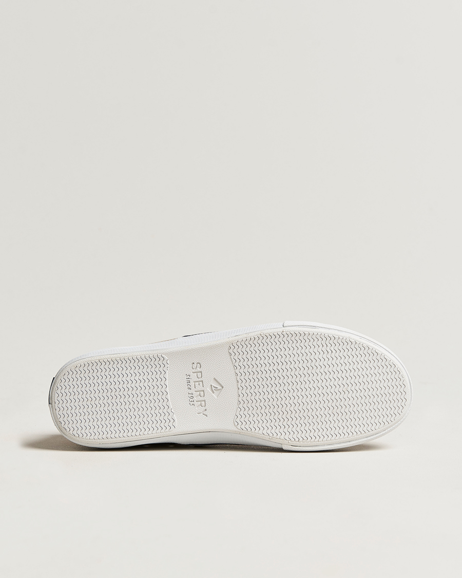 Mies | Sperry Striper II Canvas Sneaker Beige | Sperry | Striper II Canvas Sneaker Beige