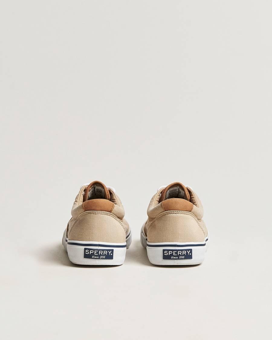 Mies | Sperry Striper II Canvas Sneaker Beige | Sperry | Striper II Canvas Sneaker Beige