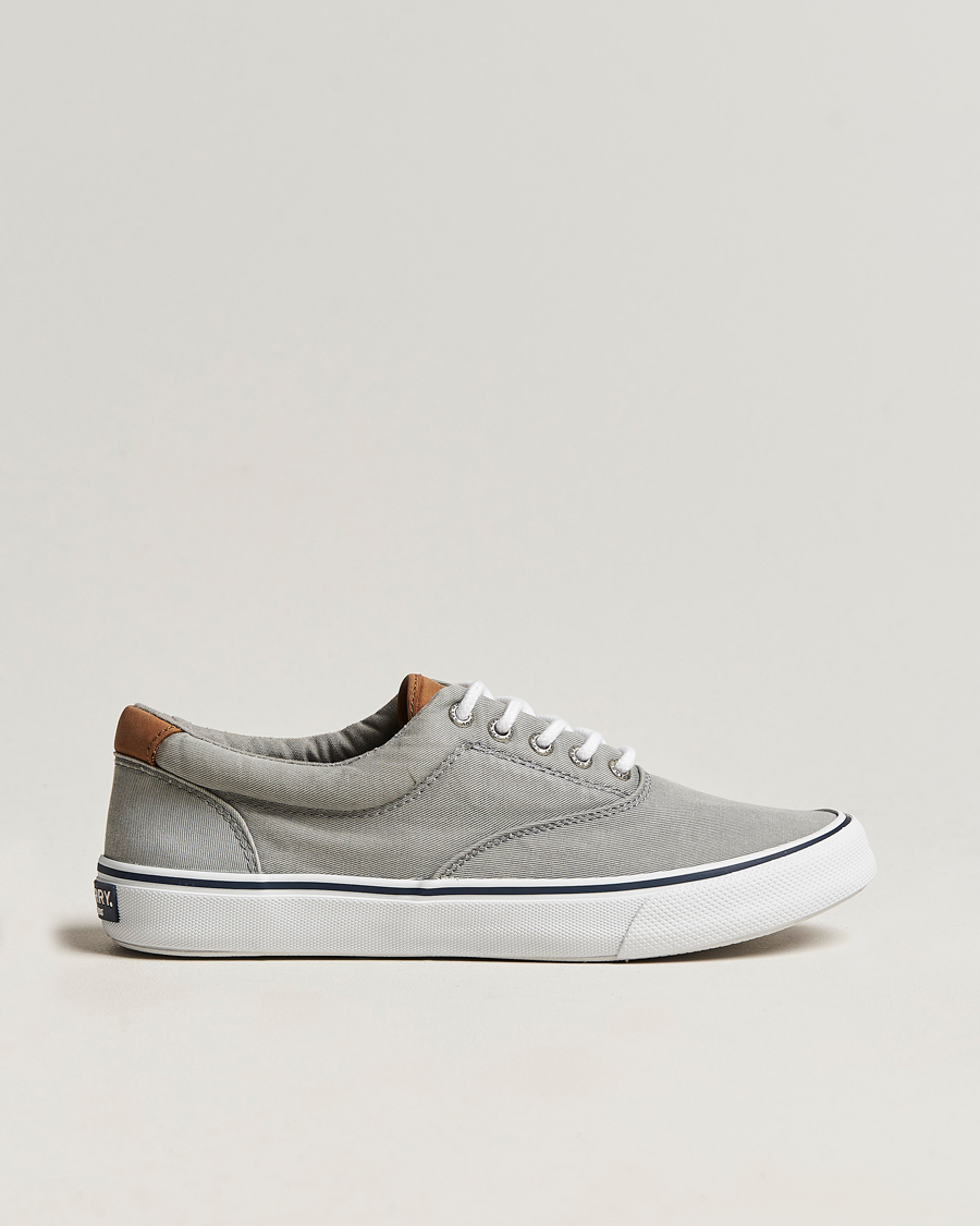 Miehet |  | Sperry | Striper II Canvas Sneaker Grey