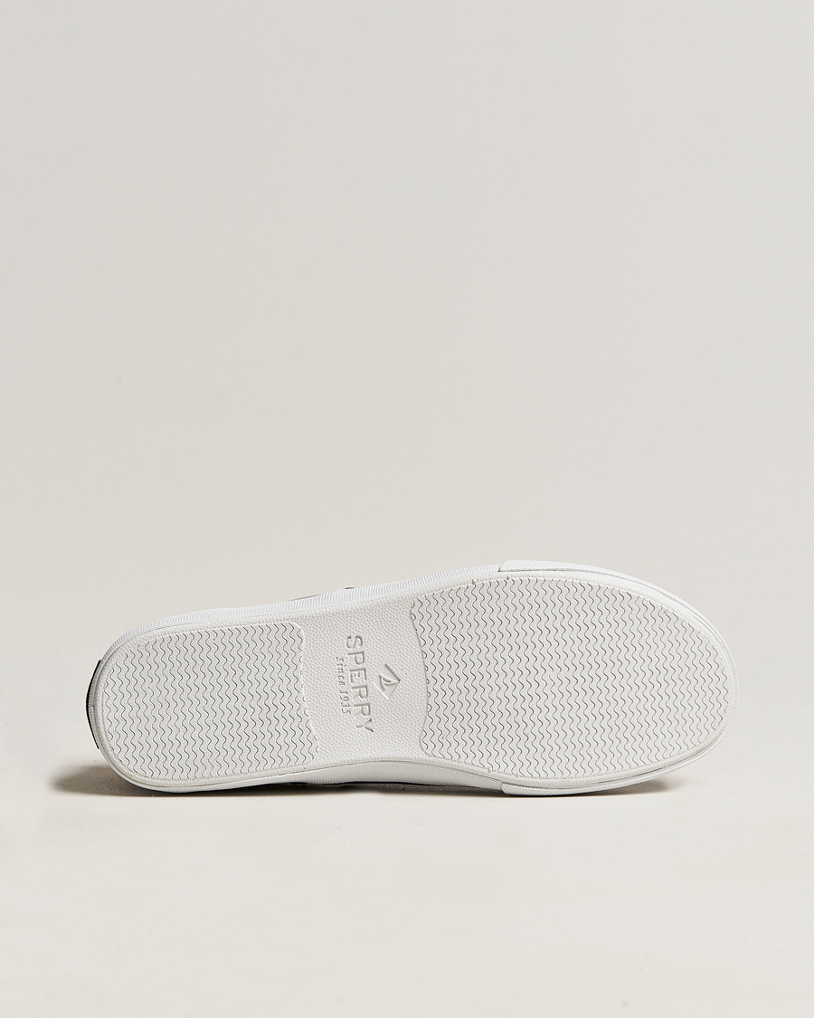 Mies | Sperry Striper II Canvas Sneaker Grey | Sperry | Striper II Canvas Sneaker Grey