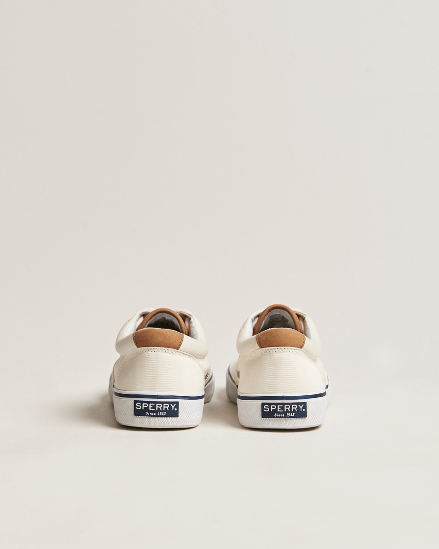 Mies | Sperry Striper II Canvas Sneaker White | Sperry | Striper II Canvas Sneaker White