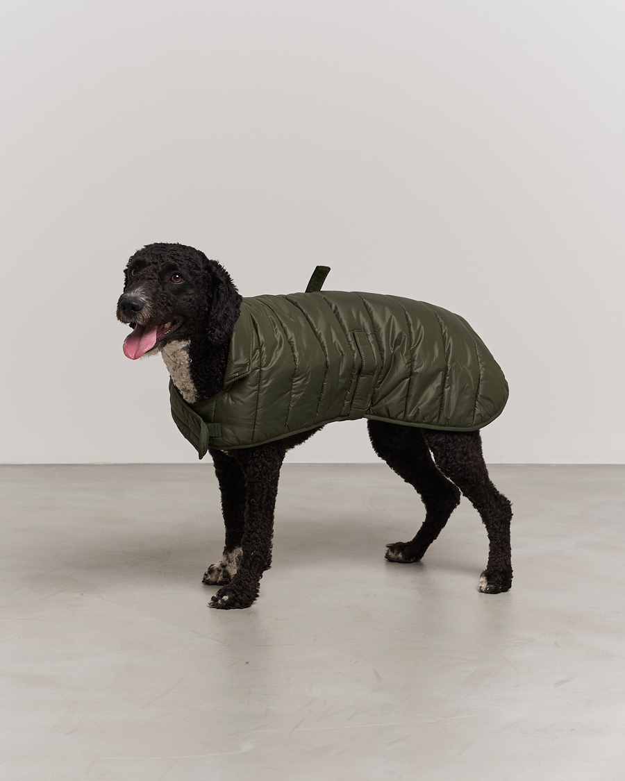 Mies | Barbour Lifestyle Baffle Quilt Dog Coat Olive | Barbour Lifestyle | Baffle Quilt Dog Coat Olive