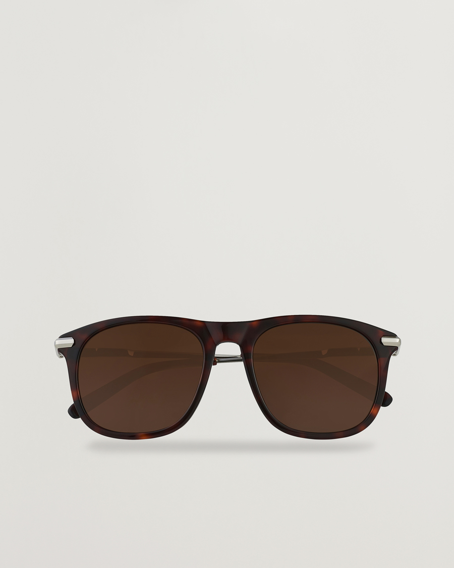 Miehet | Aurinkolasit | Brioni | BR0094S Sunglasses Havana Brown