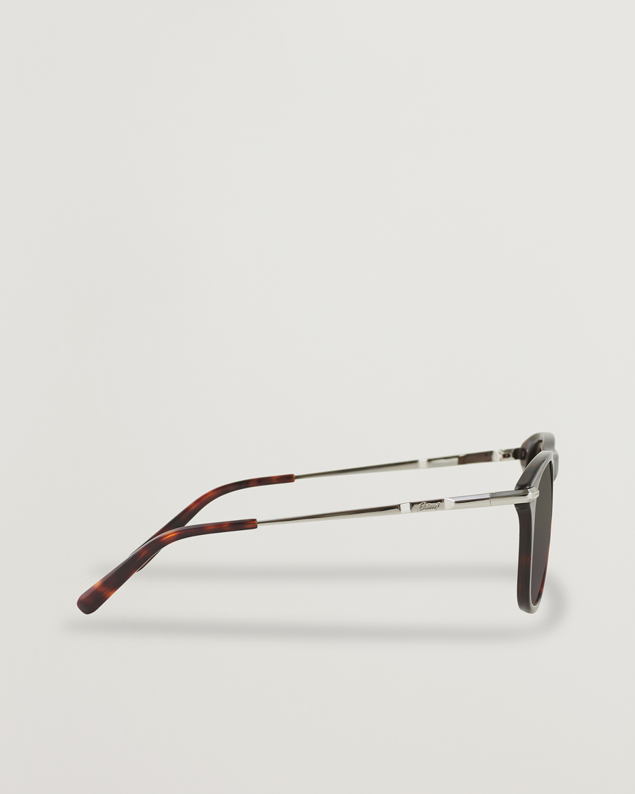Mies | Brioni BR0094S Sunglasses Havana Brown | Brioni | BR0094S Sunglasses Havana Brown