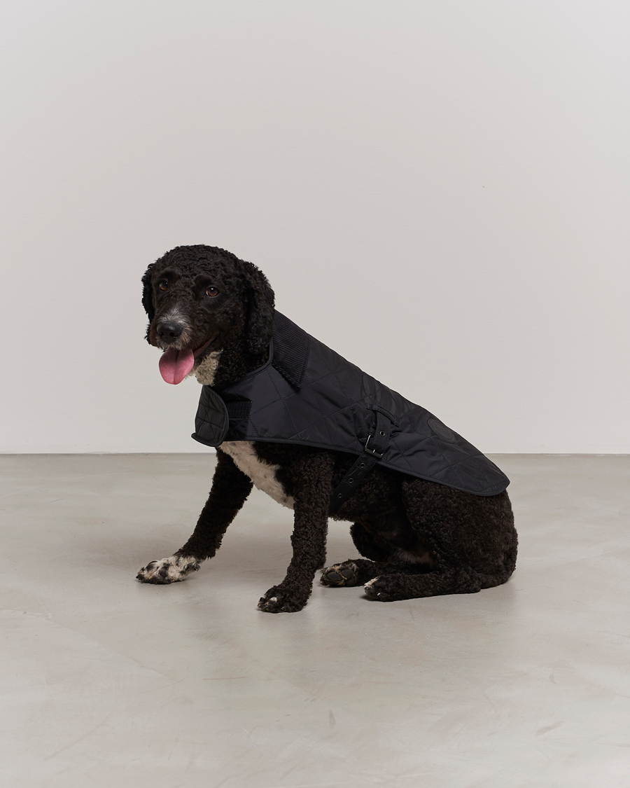 Mies | Koirille | Barbour Lifestyle | Quilted Dog Coat Black