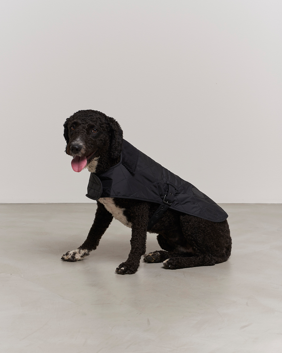 Mies | Barbour Lifestyle Quilted Dog Coat Black | Barbour Lifestyle | Quilted Dog Coat Black