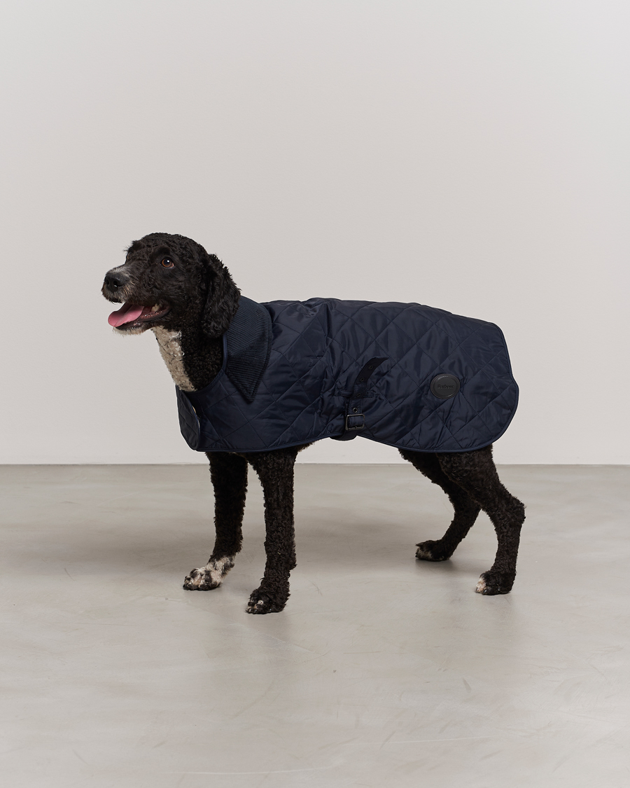 Mies | Koirille | Barbour Lifestyle | Quilted Dog Coat Navy