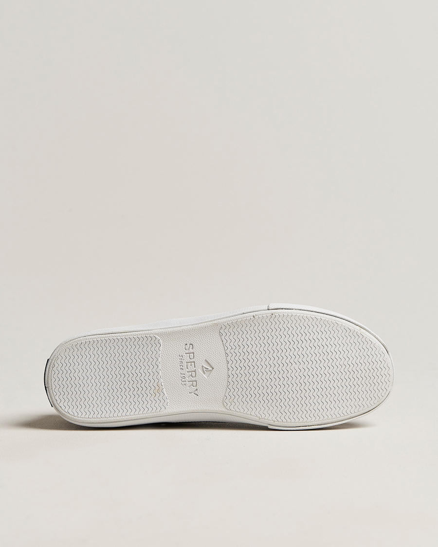 Mies | Sperry Striper II Canvas Sneaker Whased Black | Sperry | Striper II Canvas Sneaker Whased Black