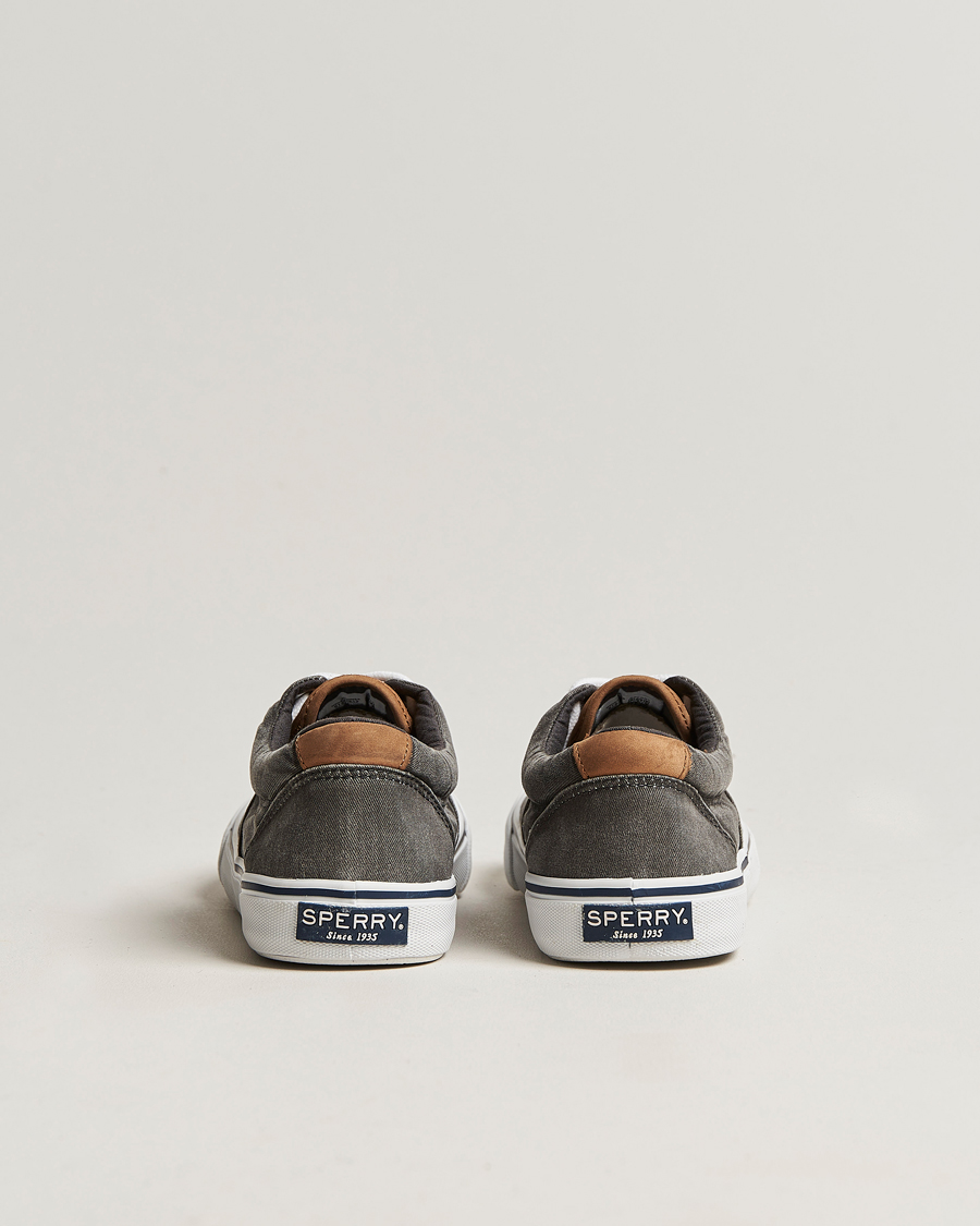 Mies | Sperry Striper II Canvas Sneaker Whased Black | Sperry | Striper II Canvas Sneaker Whased Black