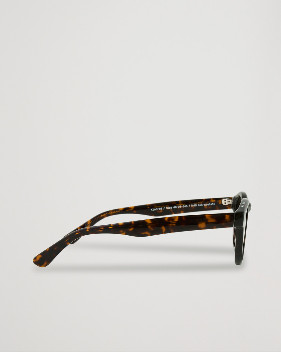 Mies | James Ay Kindred Sunglasses Classical Havana | James Ay | Kindred Sunglasses Classical Havana