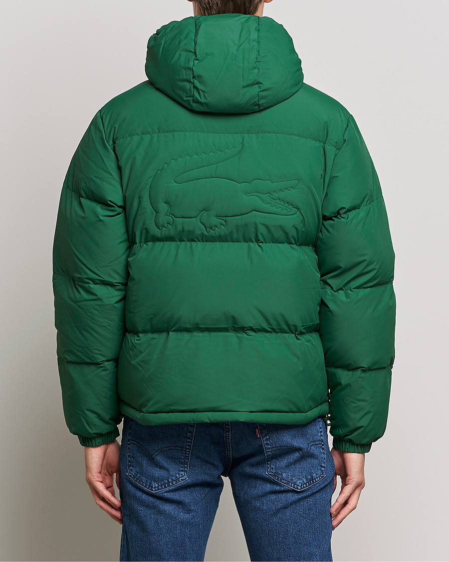 Mies | Takit | Lacoste | Hooded Lightweight Jacket Green