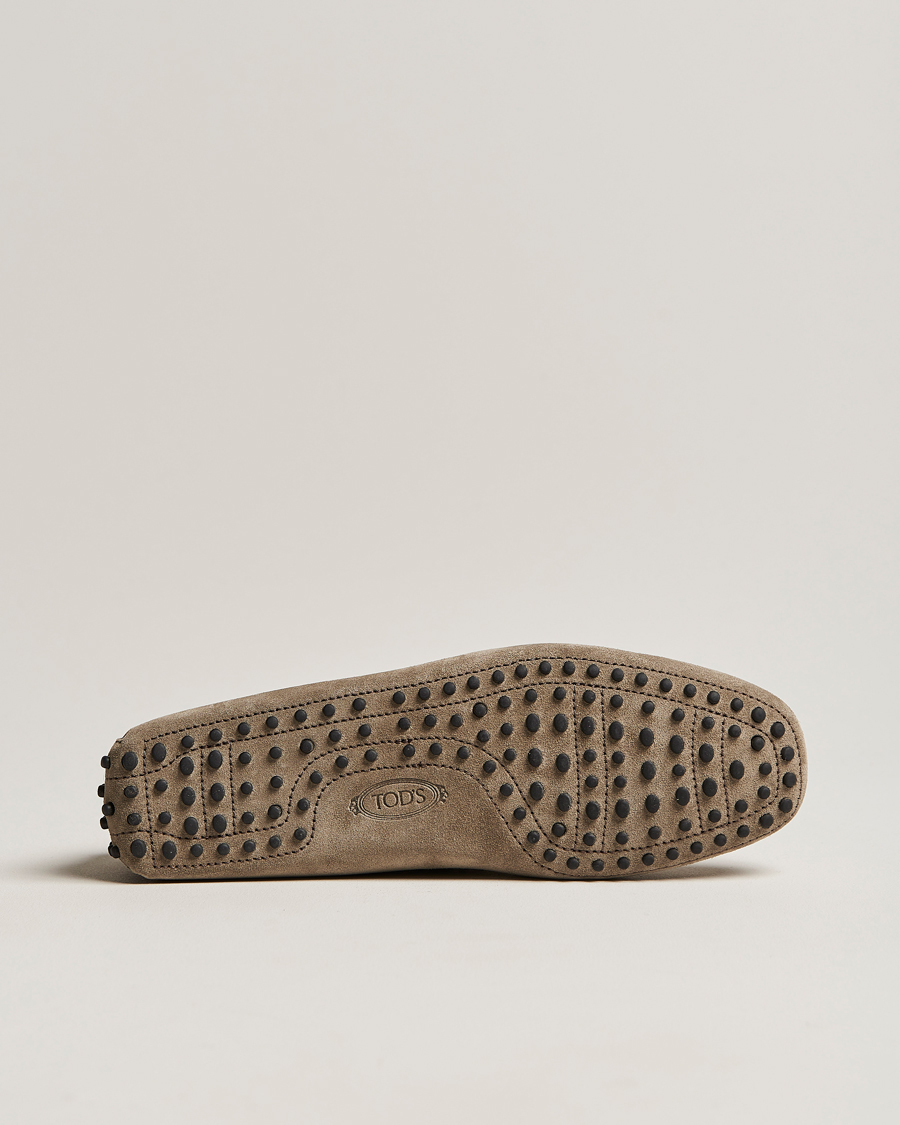Mies | Tod's Laccetto Gommino Carshoe Taupe Suede | Tod's | Laccetto Gommino Carshoe Taupe Suede