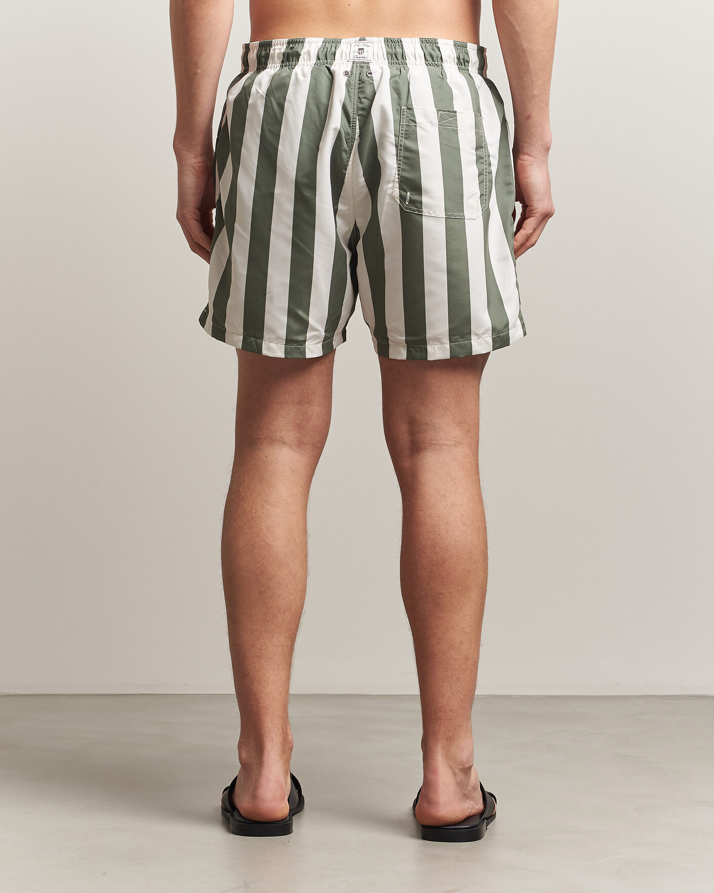 Mies | Uimahousut | GANT | Blockstriped Swimshorts Dry Herb Green