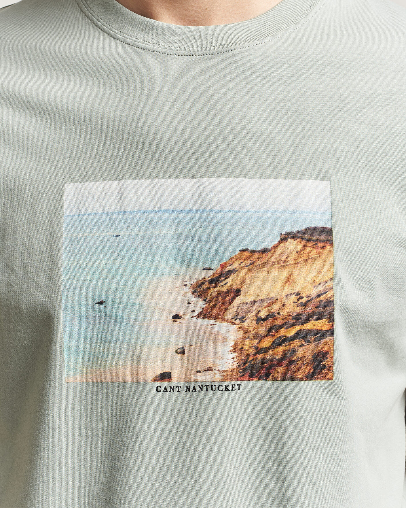 Mies | T-paidat | Gant | Scenery Graphic Crew Neck T-Shirt Ceramic Grey