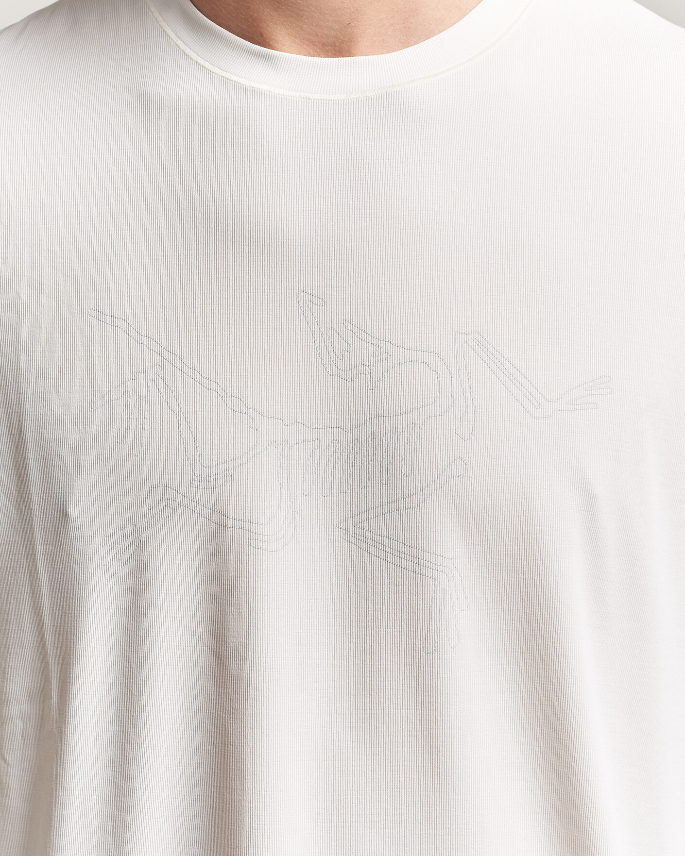 Mies | T-paidat | Arc'teryx | Cormac Bird Logo Crew Neck T-Shirt Arctic Silk