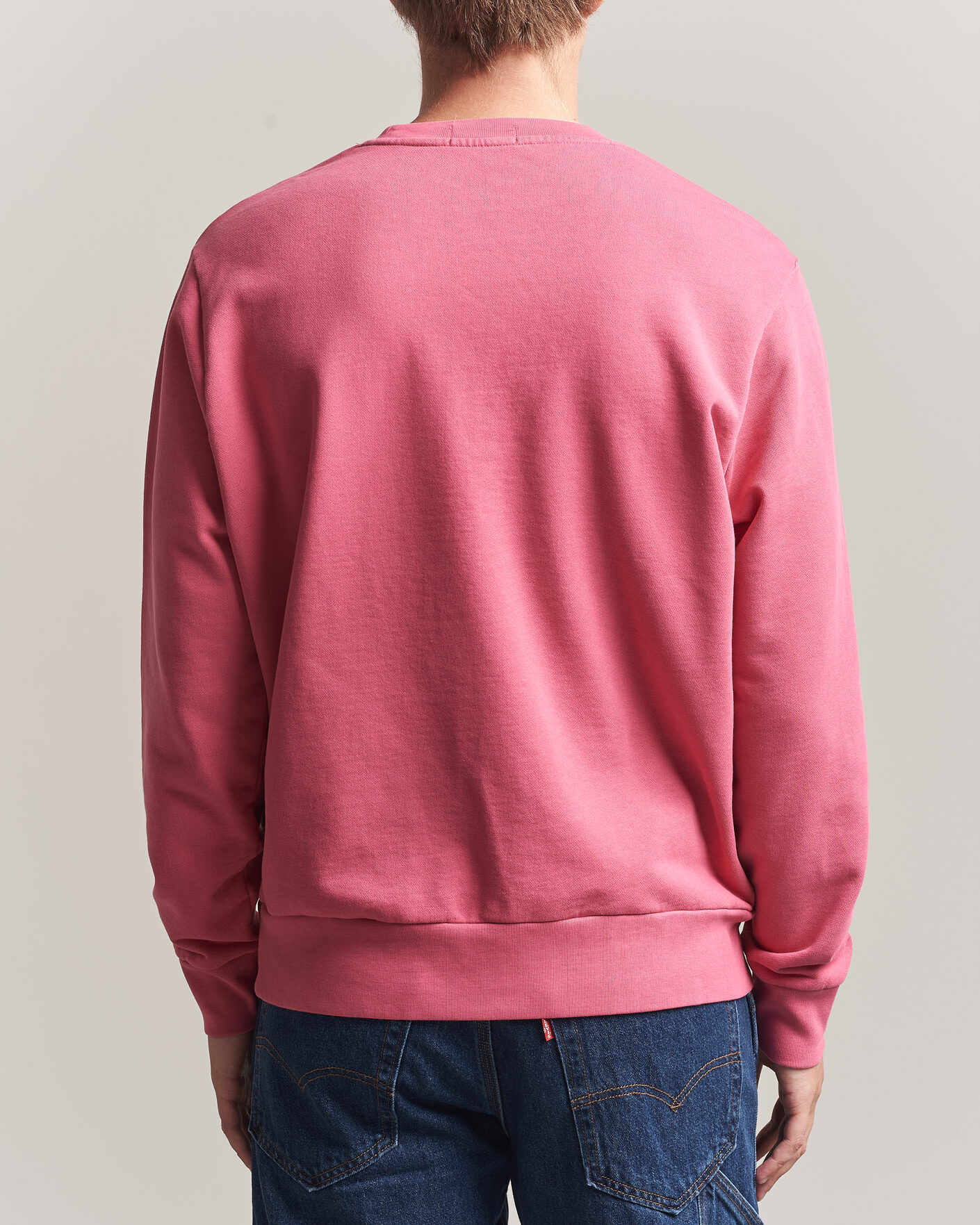 Mies | Puserot | Polo Ralph Lauren | Loopback Terry Sweatshirt Terrance Pink