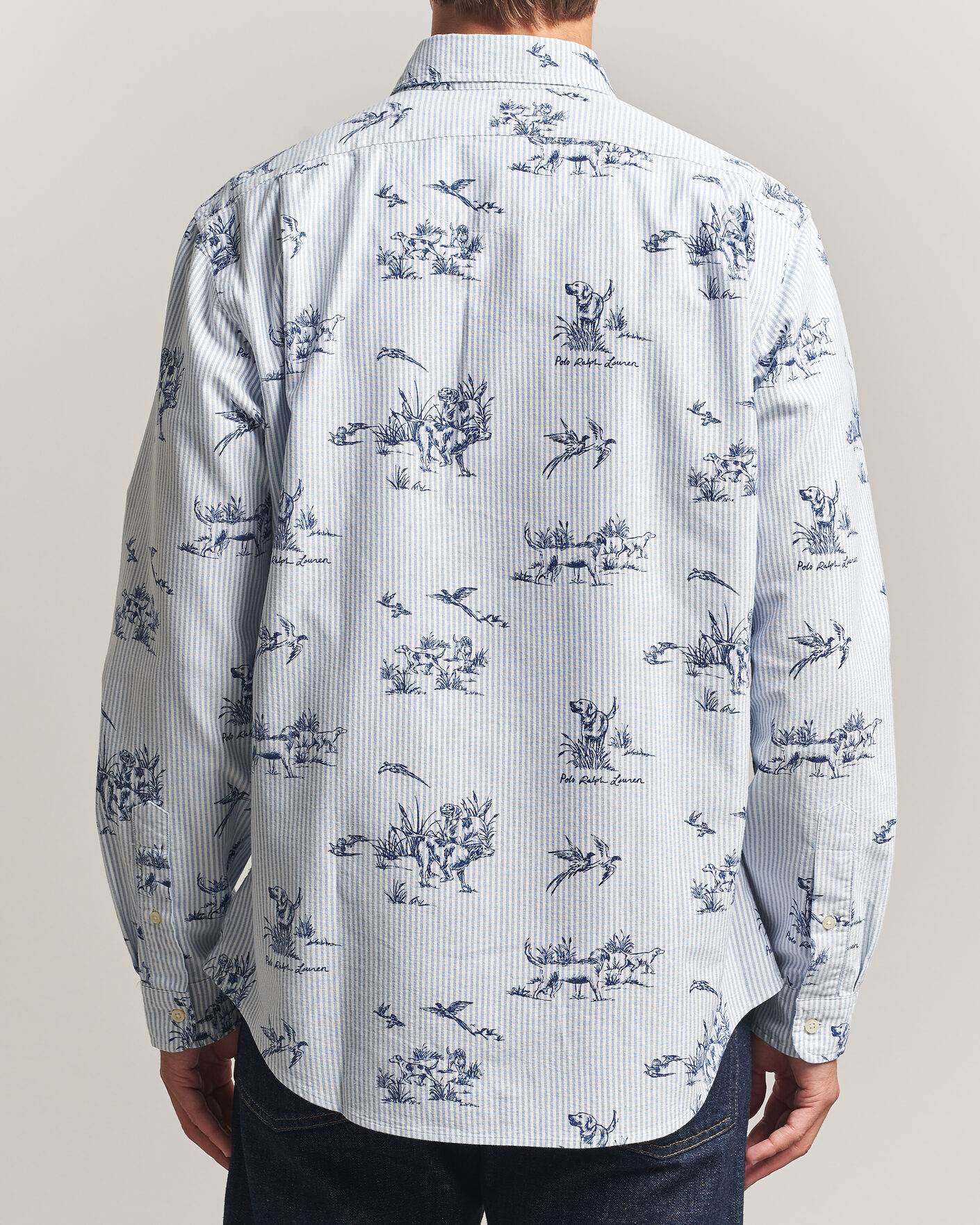 Mies | Kauluspaidat | Polo Ralph Lauren | Custom Fit Printed Oxford Shirt Field & Pheasant