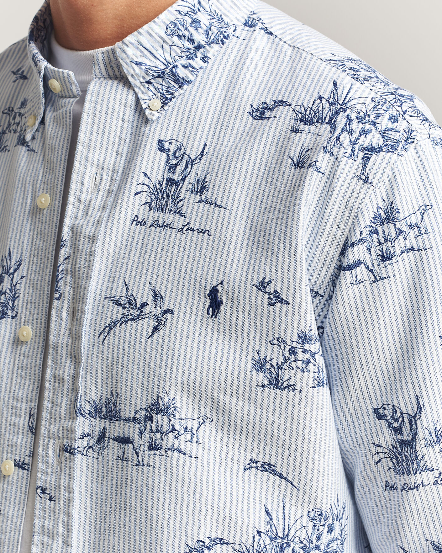 Mies | Kauluspaidat | Polo Ralph Lauren | Custom Fit Printed Oxford Shirt Field & Pheasant